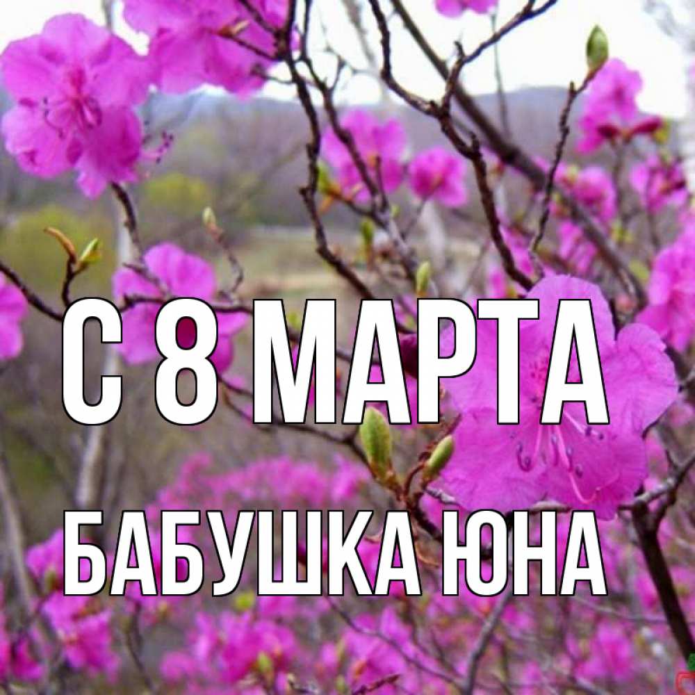 Картинка С 8 МАРТА, Бабушка Юна