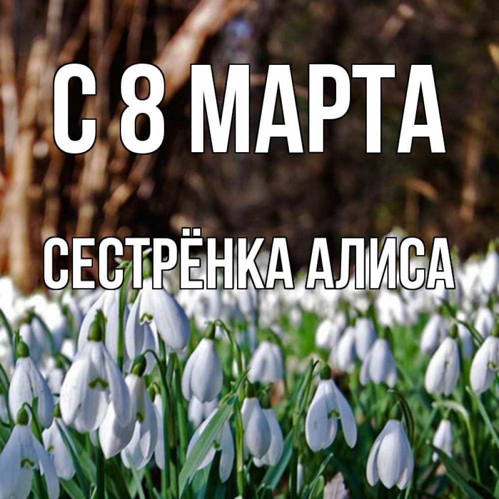 Открытка на каждый день с именем, Сестрёнка-Алиса С 8 МАРТА с подснежниками 1 Прикольная открытка с пожеланием онлайн скачать бесплатно 
