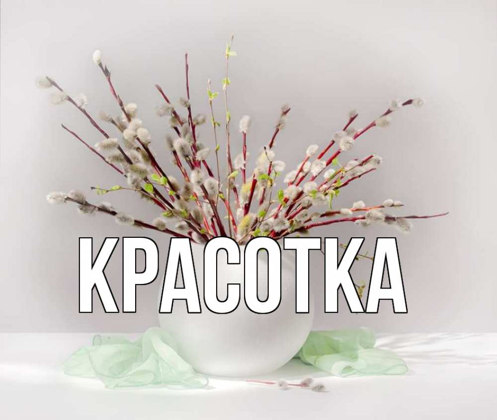 Открытка на каждый день с именем, красотка Главная верба Прикольная открытка с пожеланием онлайн скачать бесплатно 