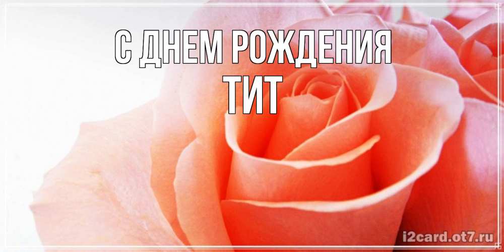 Открытка на каждый день с именем, Тит С днем рождения розы для поздравления с днем рождения Прикольная открытка с пожеланием онлайн скачать бесплатно 