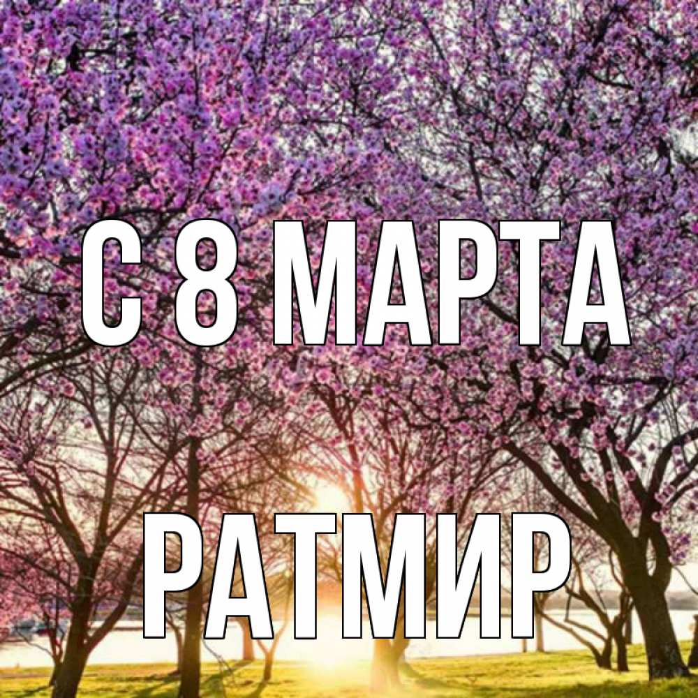 Открытка на каждый день с именем, Ратмир С 8 МАРТА международный женский день Прикольная открытка с пожеланием онлайн скачать бесплатно 