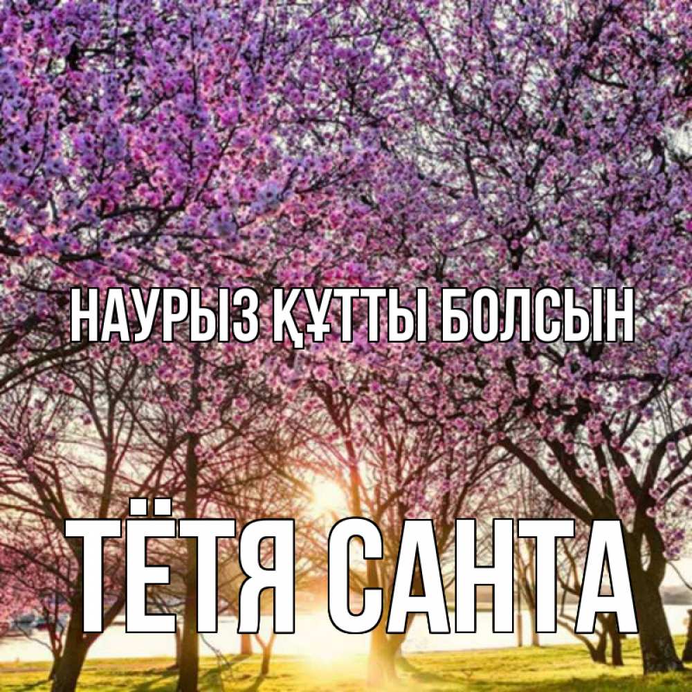 Открытка на каждый день с именем, Тётя-Санта Наурыз құтты болсын наурыз Прикольная открытка с пожеланием онлайн скачать бесплатно 