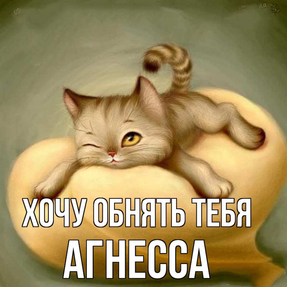Открытка на каждый день с именем, Агнесса Хочу обнять тебя кошечка Прикольная открытка с пожеланием онлайн скачать бесплатно 