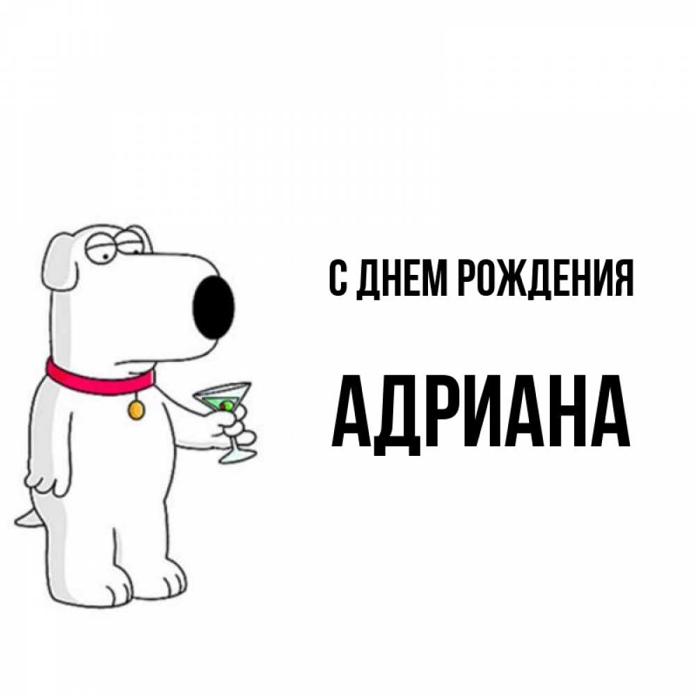 Открытка на каждый день с именем, Адриана С днем рождения песик с оливками Прикольная открытка с пожеланием онлайн скачать бесплатно 