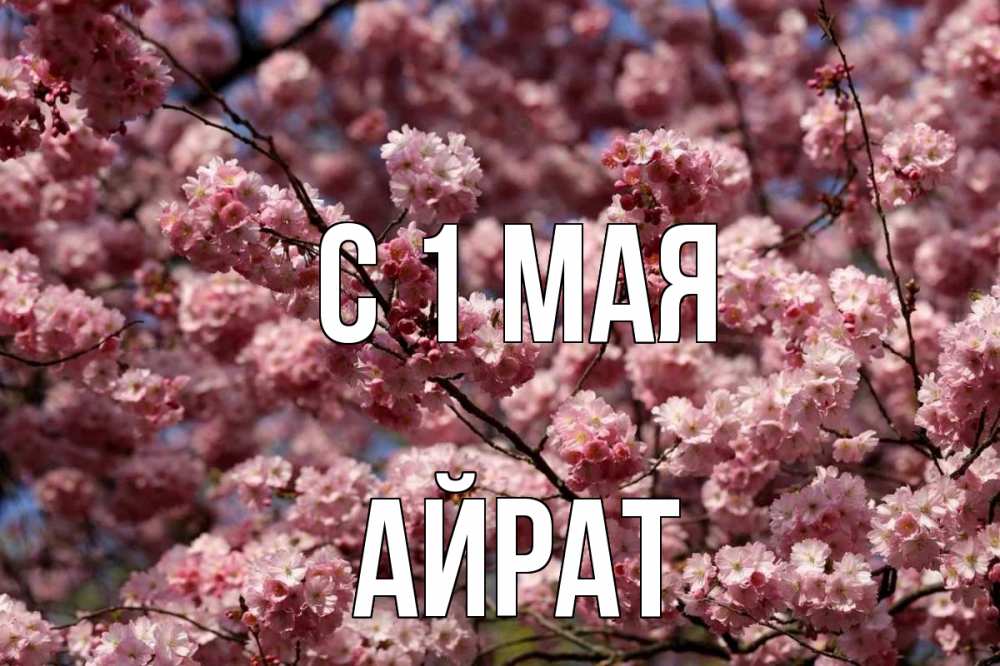 Открытка на каждый день с именем, Айрат С 1 мая С 1 мая Прикольная открытка с пожеланием онлайн скачать бесплатно 