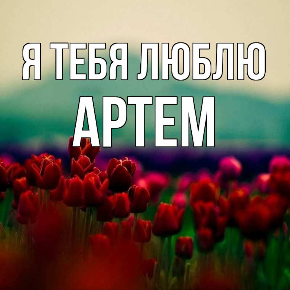 Открытка на каждый день с именем, Артем Я тебя люблю тюльпаны 4 Прикольная открытка с пожеланием онлайн скачать бесплатно 