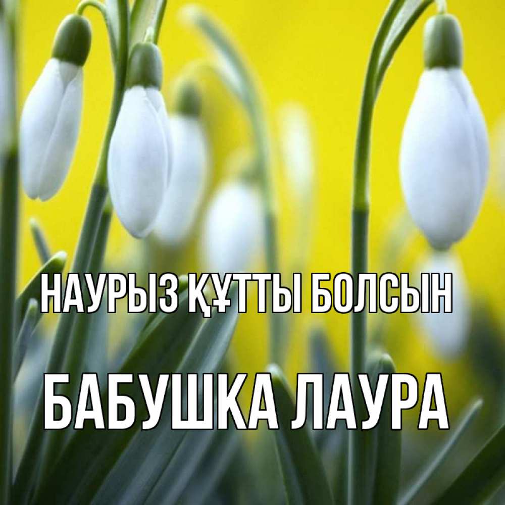 Открытка на каждый день с именем, Бабушка-Лаура Наурыз құтты болсын весенние цветы Прикольная открытка с пожеланием онлайн скачать бесплатно 