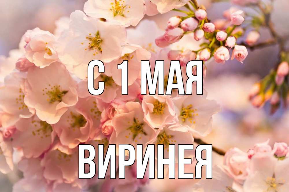 Открытка на каждый день с именем, Виринея С 1 мая С 1 мая Прикольная открытка с пожеланием онлайн скачать бесплатно 