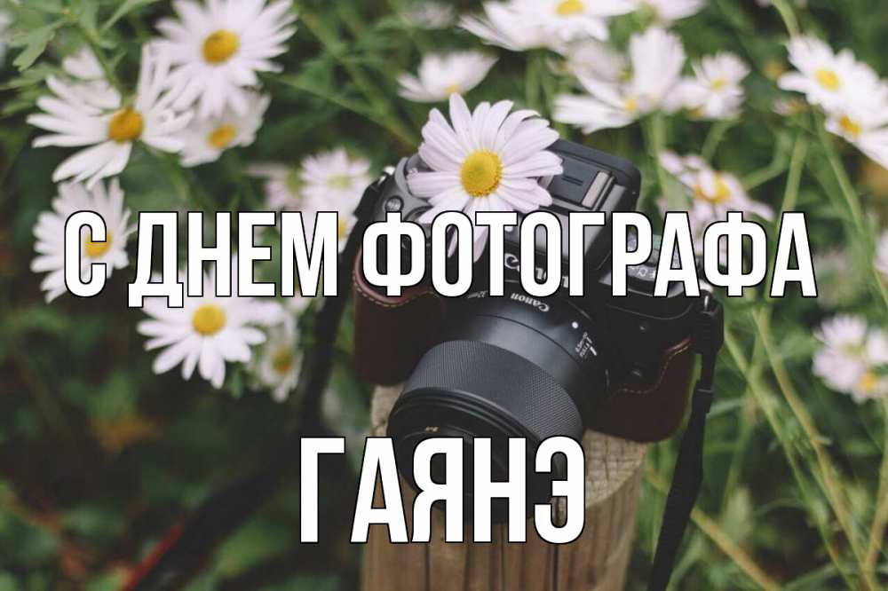 Открытка на каждый день с именем, Гаянэ С днем фотографа с днем фотографа Прикольная открытка с пожеланием онлайн скачать бесплатно 