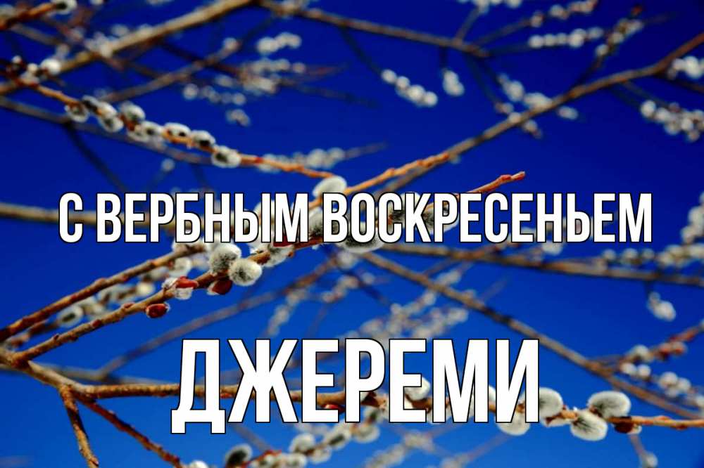 Открытка на каждый день с именем, Джереми С вербным воскресеньем верба Прикольная открытка с пожеланием онлайн скачать бесплатно 