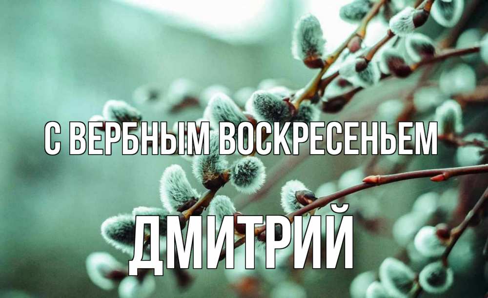 Открытка на каждый день с именем, Дмитрий С вербным воскресеньем верба Прикольная открытка с пожеланием онлайн скачать бесплатно 