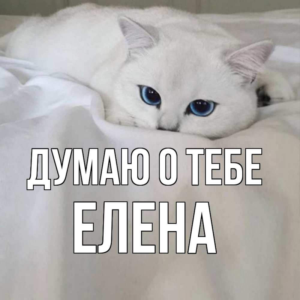 Открытка на каждый день с именем, Елена Думаю о тебе я очень по тебе скучаю и тоскую Прикольная открытка с пожеланием онлайн скачать бесплатно 