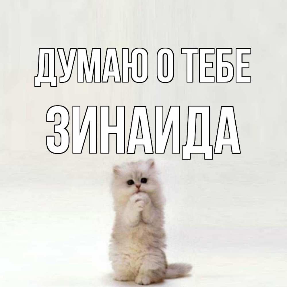 Открытка на каждый день с именем, Зинаида Думаю о тебе кот стоит на задних лапах Прикольная открытка с пожеланием онлайн скачать бесплатно 