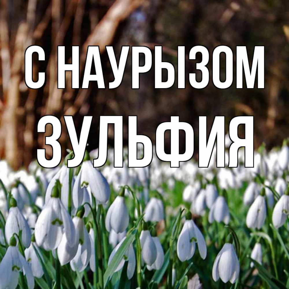 Открытка на каждый день с именем, Зульфия С наурызом с подснежниками 1 Прикольная открытка с пожеланием онлайн скачать бесплатно 