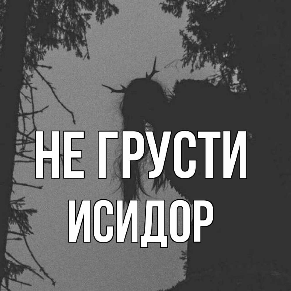 Открытка на каждый день с именем, Исидор Не грусти чудище лесное Прикольная открытка с пожеланием онлайн скачать бесплатно 