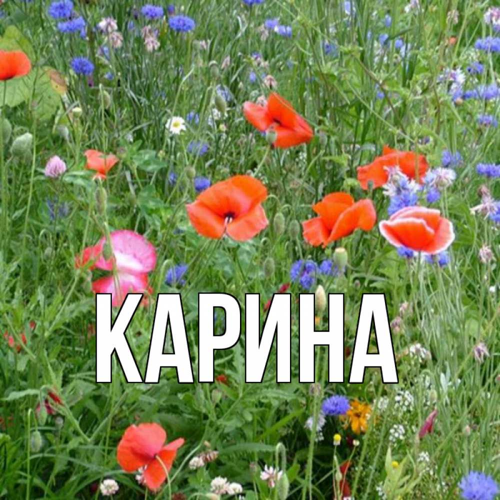 Открытка на каждый день с именем, Карина Главная праздник весны наурыз супер открытка Прикольная открытка с пожеланием онлайн скачать бесплатно 