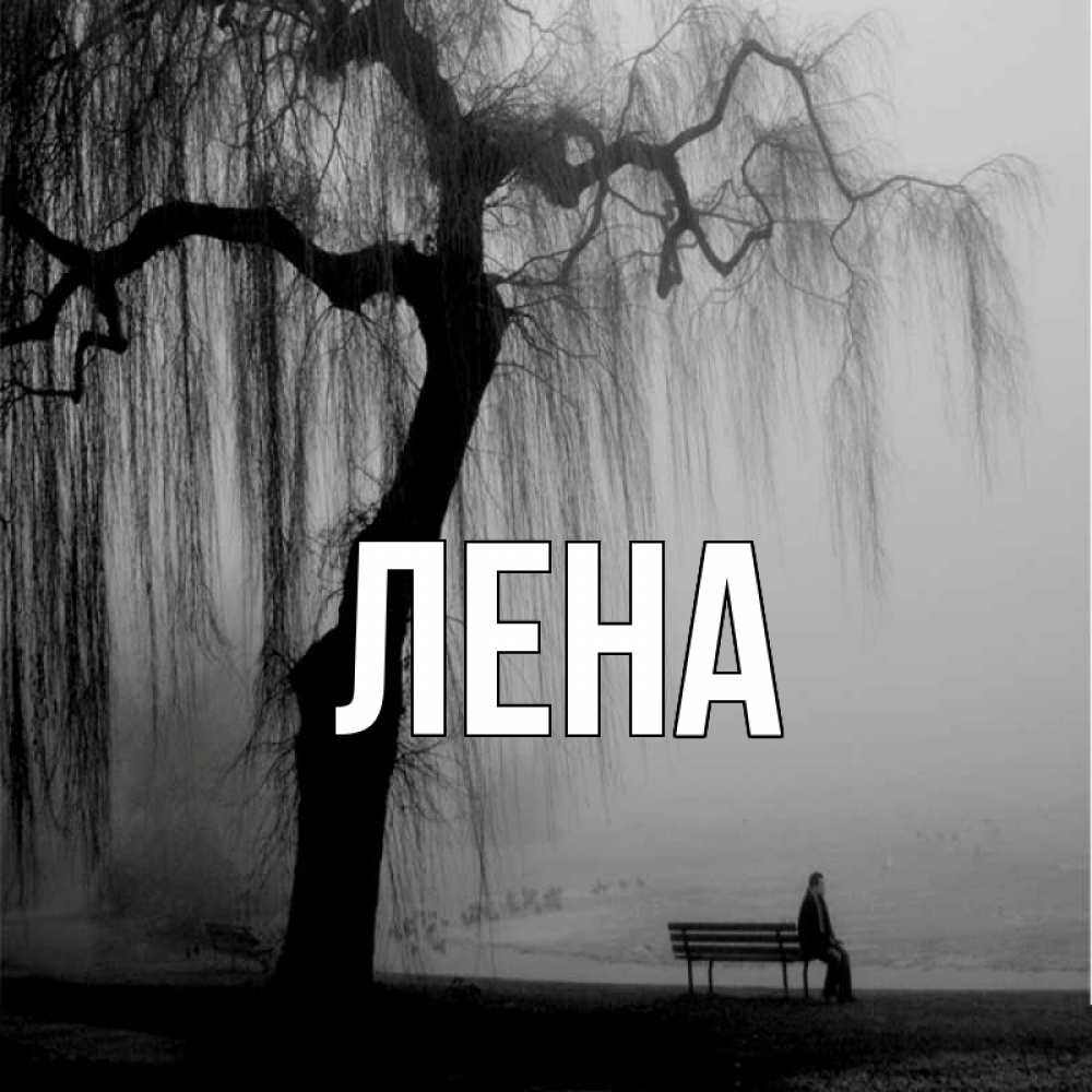 Открытка на каждый день с именем, Лена Главная висящие ветки дерева и лавочка под деревом Прикольная открытка с пожеланием онлайн скачать бесплатно 
