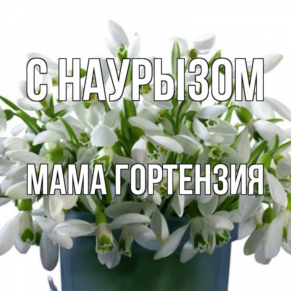 Открытка на каждый день с именем, Мама-Гортензия С наурызом цветы к наурызу новый год в Казахстане Прикольная открытка с пожеланием онлайн скачать бесплатно 