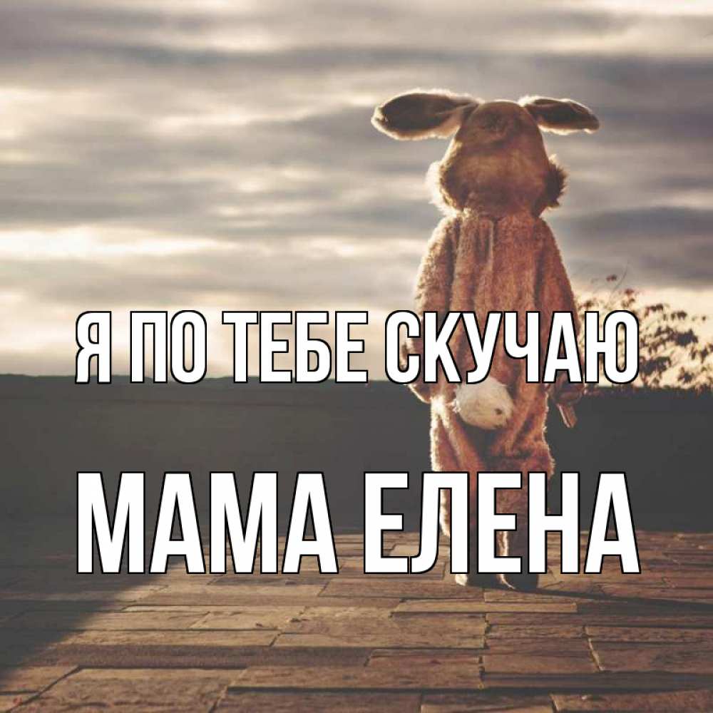 Открытка на каждый день с именем, Мама-Елена Я по тебе скучаю даже в костюме зайца Прикольная открытка с пожеланием онлайн скачать бесплатно 