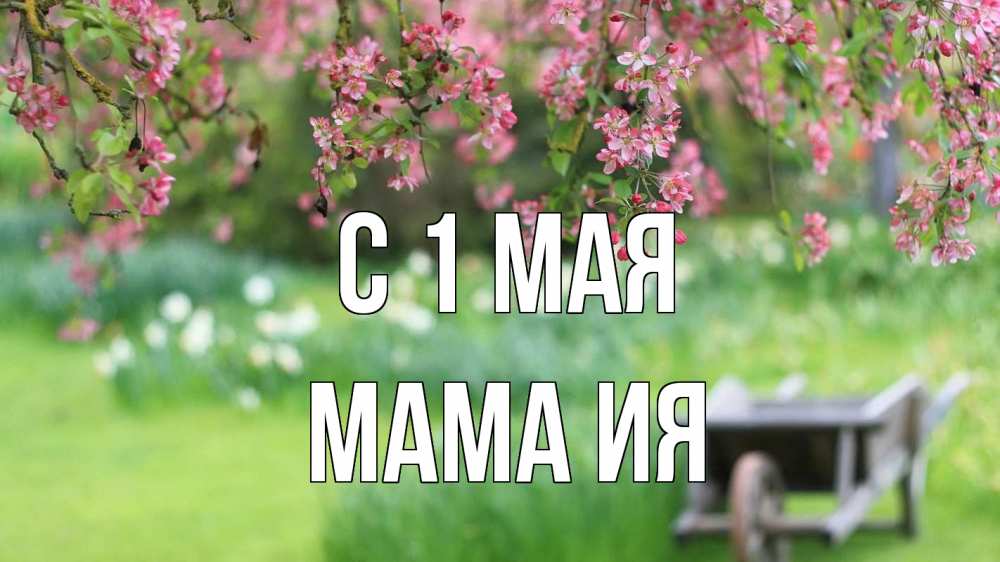 Открытка на каждый день с именем, Мама-Ия С 1 мая С 1 мая Прикольная открытка с пожеланием онлайн скачать бесплатно 