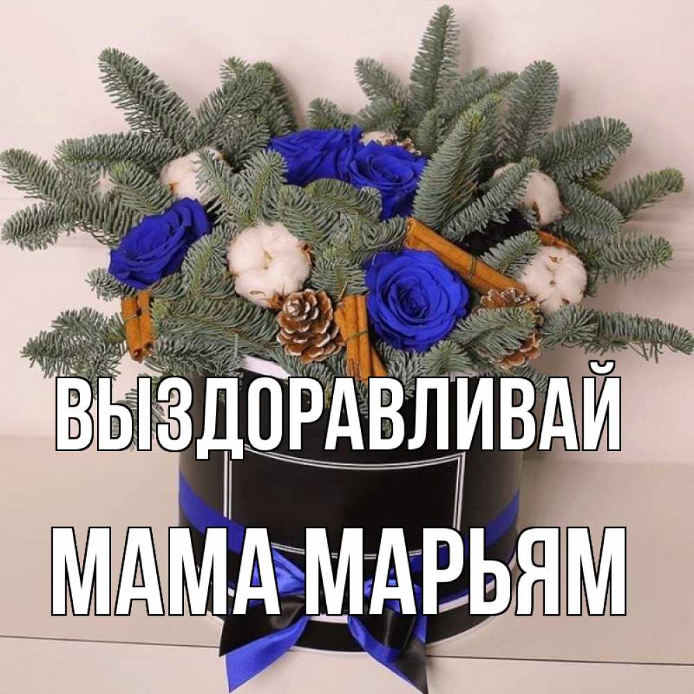 Открытка на каждый день с именем, Мама-Марьям Выздоравливай короче кто то загрузил эти шишки Прикольная открытка с пожеланием онлайн скачать бесплатно 