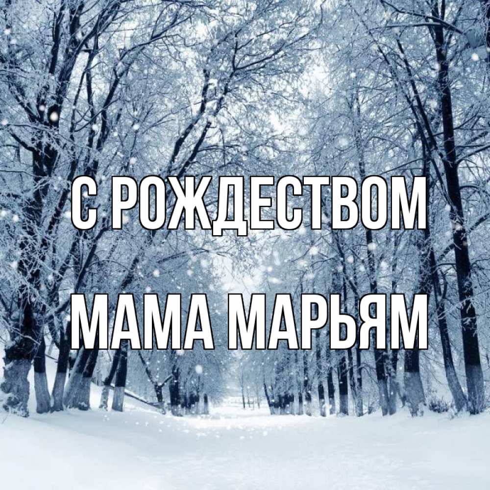 Открытка на каждый день с именем, Мама-Марьям С рождеством снег, лес, парк Прикольная открытка с пожеланием онлайн скачать бесплатно 