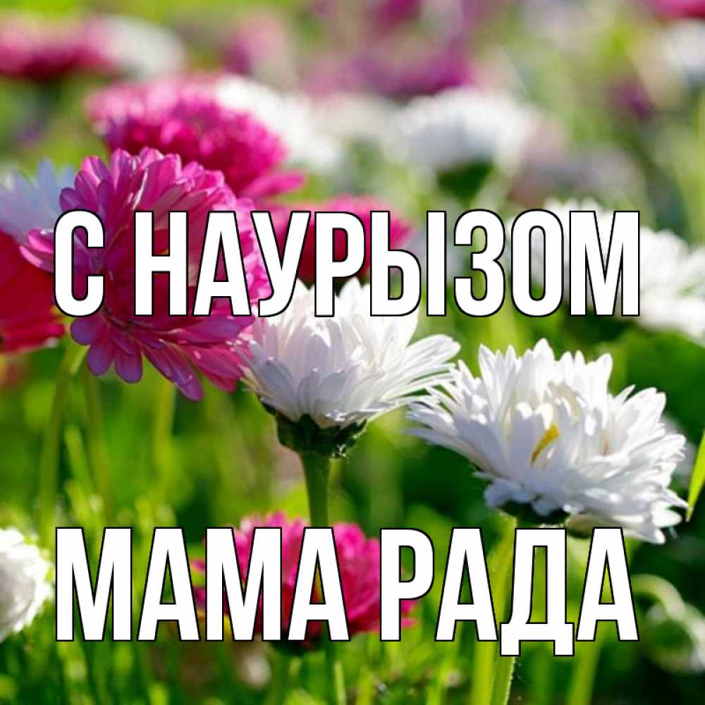 Открытка на каждый день с именем, Мама-Рада С наурызом праздник весны наурыз красота Прикольная открытка с пожеланием онлайн скачать бесплатно 