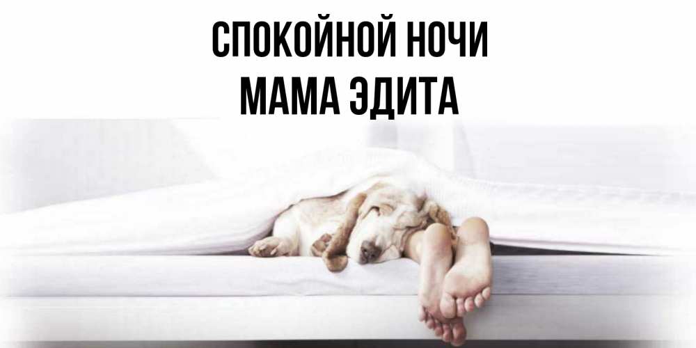 Открытка на каждый день с именем, Мама-Эдита Спокойной ночи кровать с собакой пожелание сладких снов и спокойной ночи Прикольная открытка с пожеланием онлайн скачать бесплатно 
