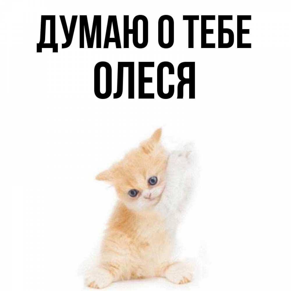 Открытка на каждый день с именем, Олеся Думаю о тебе зверушки и милота Прикольная открытка с пожеланием онлайн скачать бесплатно 