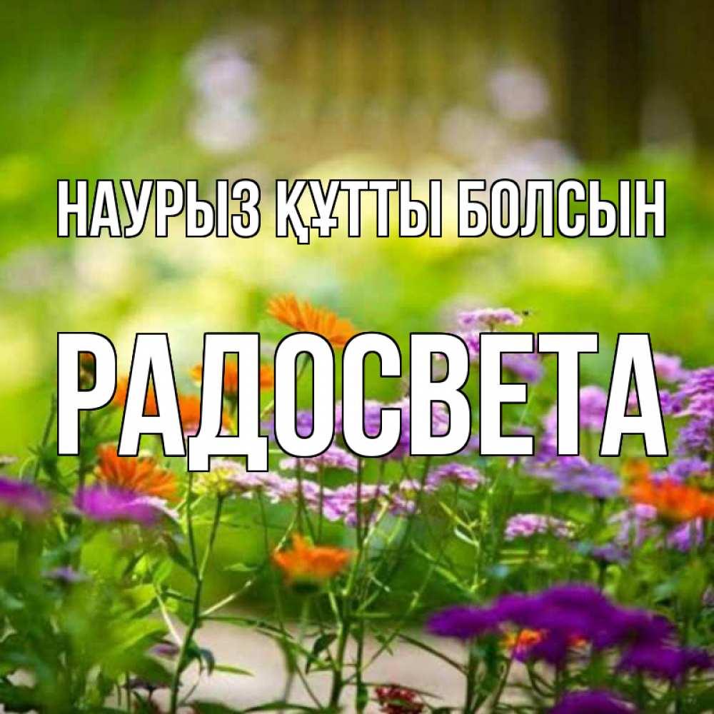 Открытка на каждый день с именем, Радосвета Наурыз құтты болсын цветы Прикольная открытка с пожеланием онлайн скачать бесплатно 