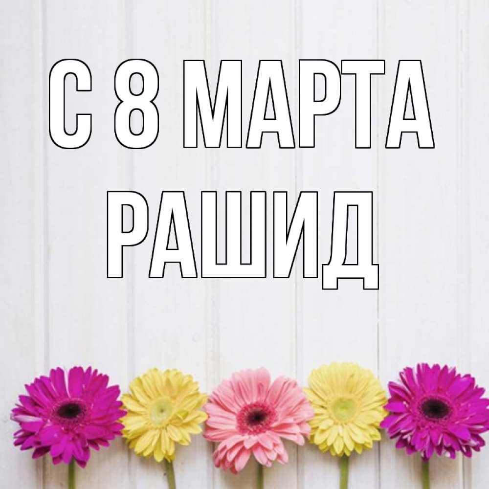 Открытка на каждый день с именем, Рашид С 8 МАРТА женщинам 1 Прикольная открытка с пожеланием онлайн скачать бесплатно 