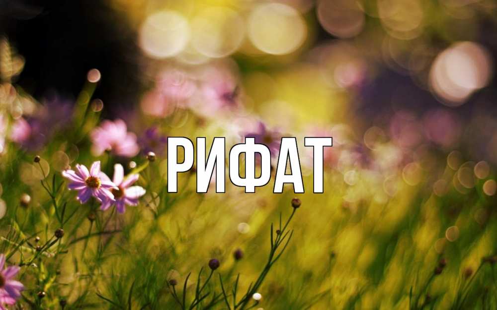 Открытка на каждый день с именем, Рифат Главная С 1 мая Прикольная открытка с пожеланием онлайн скачать бесплатно 