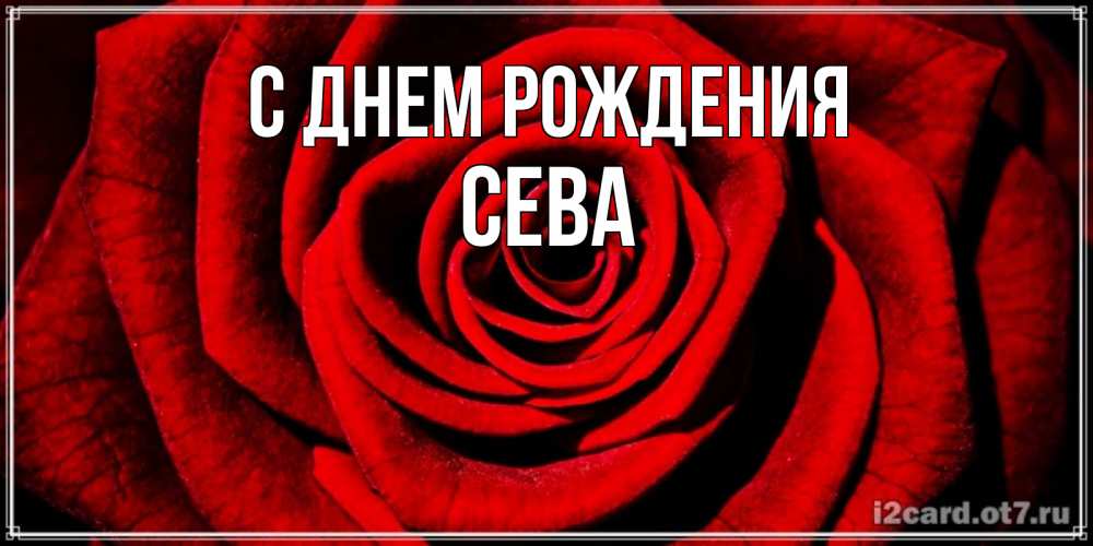 Открытка на каждый день с именем, Сева С днем рождения алая роза Прикольная открытка с пожеланием онлайн скачать бесплатно 