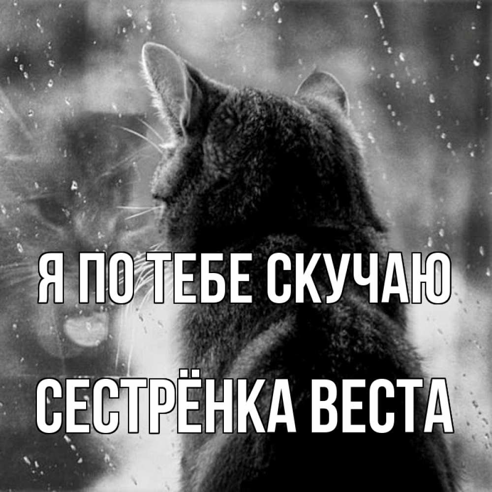 Открытка на каждый день с именем, Сестрёнка-Веста Я по тебе скучаю скорее ко мне приходи 1 Прикольная открытка с пожеланием онлайн скачать бесплатно 