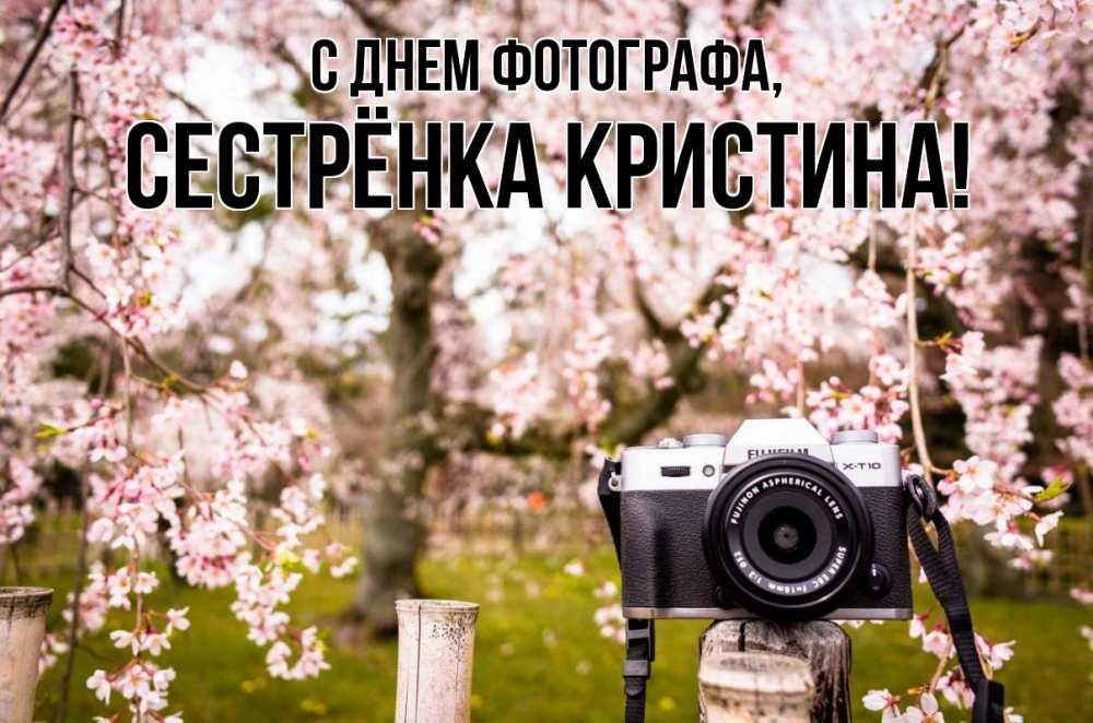 Открытка на каждый день с именем, Сестрёнка-Кристина С днем фотографа сирень с днем фотографа, фотоаппарат Прикольная открытка с пожеланием онлайн скачать бесплатно 
