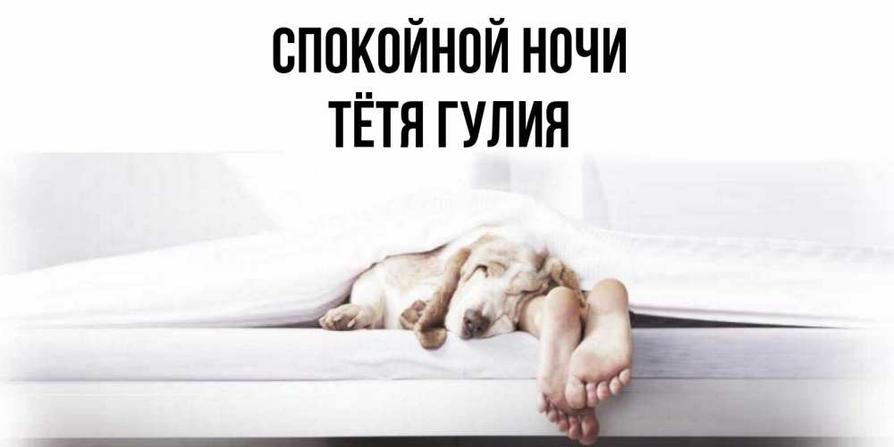 Открытка на каждый день с именем, Тётя-Гулия Спокойной ночи кровать с собакой пожелание сладких снов и спокойной ночи Прикольная открытка с пожеланием онлайн скачать бесплатно 