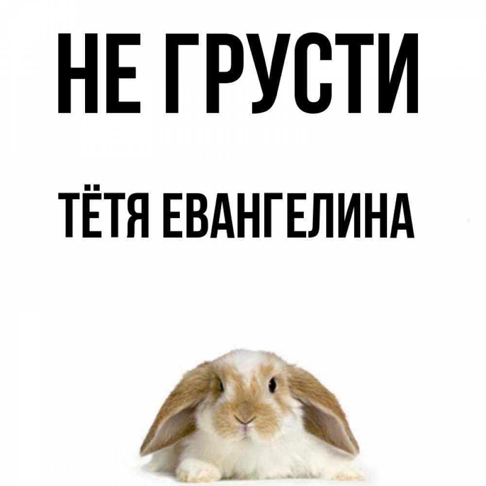 Открытка на каждый день с именем, Тётя-Евангелина Не грусти коричнево белый заяц с большими ушками Прикольная открытка с пожеланием онлайн скачать бесплатно 