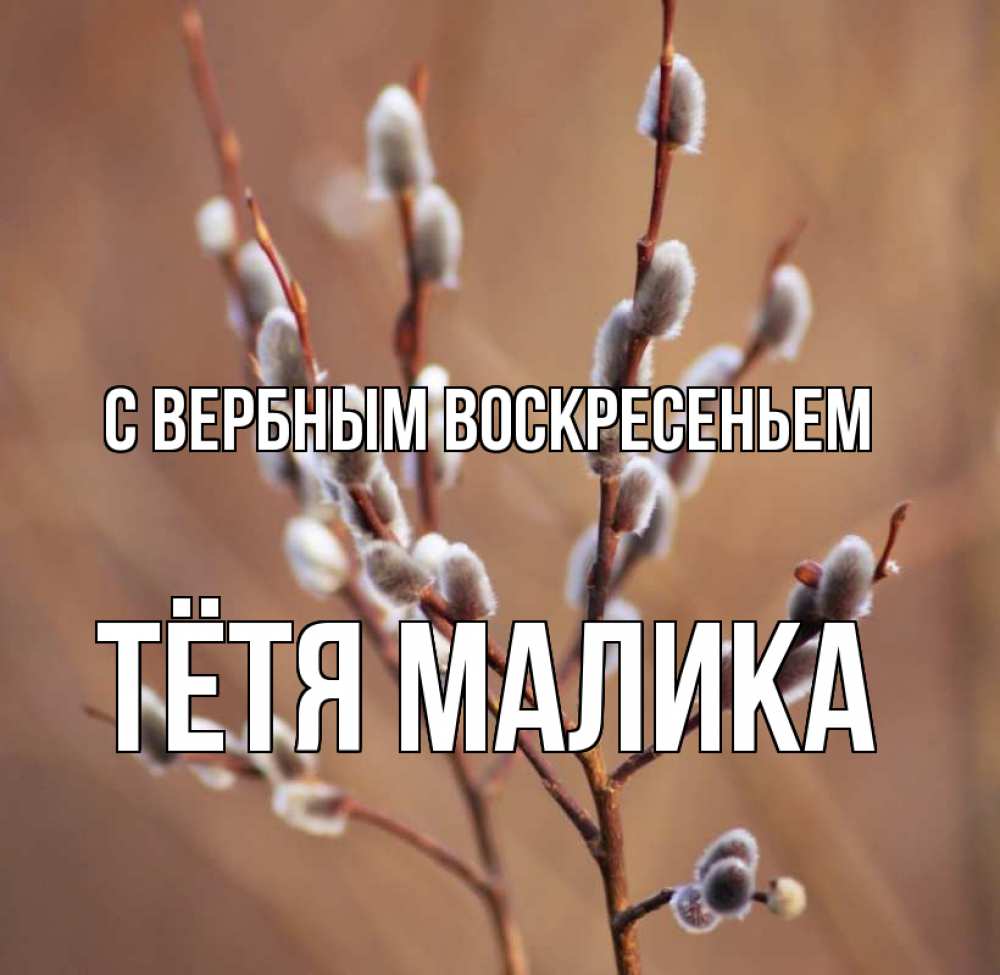 Открытка на каждый день с именем, Тётя-Малика С вербным воскресеньем верба Прикольная открытка с пожеланием онлайн скачать бесплатно 