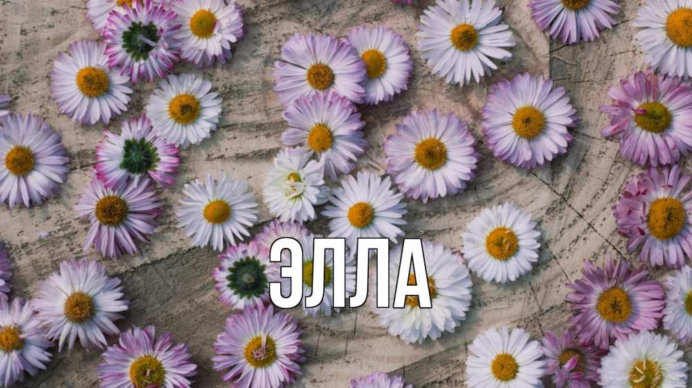 Открытка на каждый день с именем, Элла Главная с днем семьи Прикольная открытка с пожеланием онлайн скачать бесплатно 