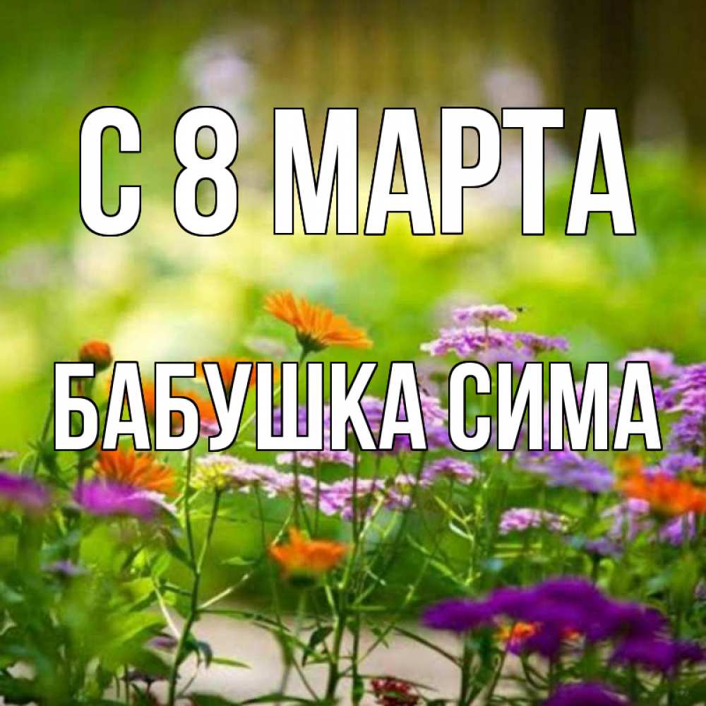 Открытка на каждый день с именем, Бабушка-Сима С 8 МАРТА цветы Прикольная открытка с пожеланием онлайн скачать бесплатно 