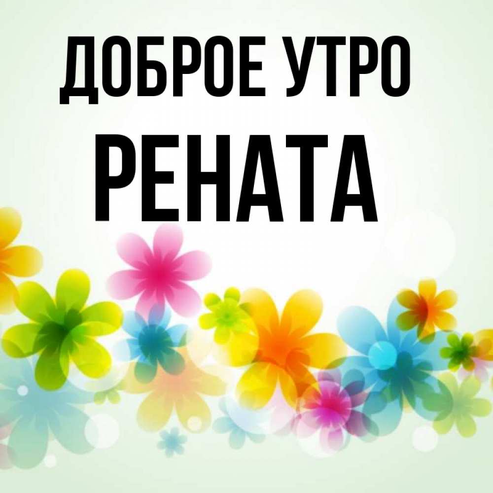 Открытка на каждый день с именем, Рената Доброе утро позитивные цветочки Прикольная открытка с пожеланием онлайн скачать бесплатно 