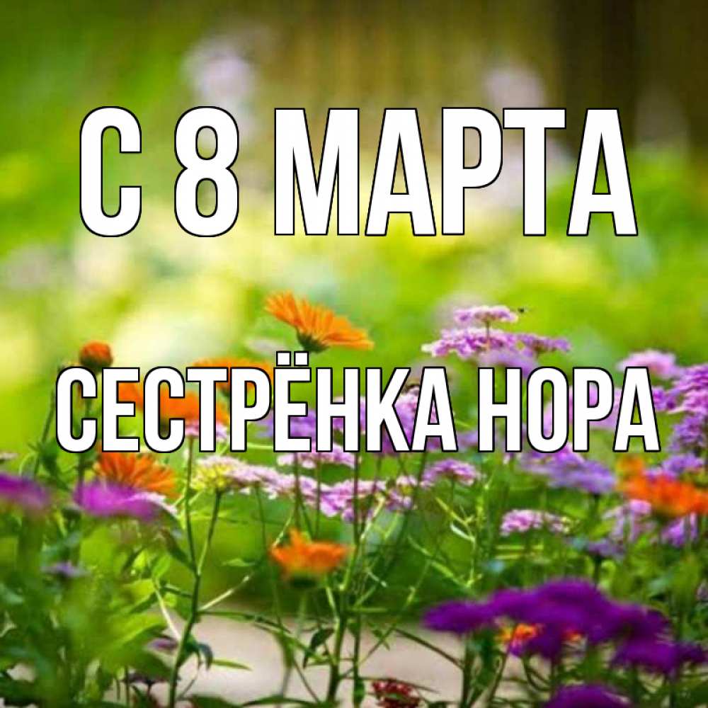 Открытка на каждый день с именем, Сестрёнка-Нора С 8 МАРТА цветы Прикольная открытка с пожеланием онлайн скачать бесплатно 
