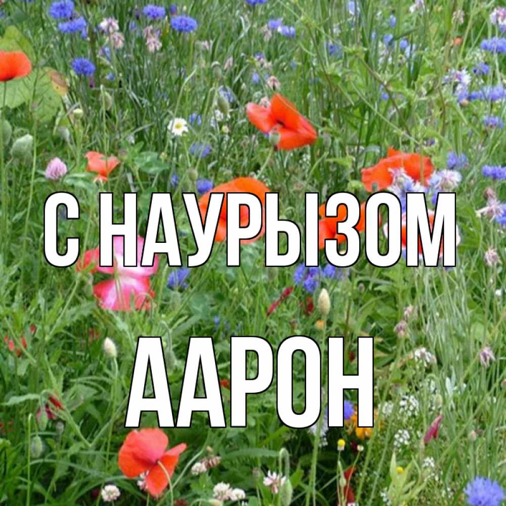 Открытка на каждый день с именем, Аарон С наурызом праздник весны наурыз супер открытка Прикольная открытка с пожеланием онлайн скачать бесплатно 
