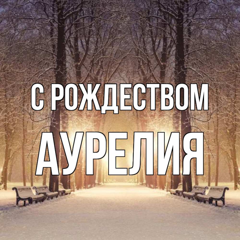 Открытка на каждый день с именем, Аурелия С рождеством зима, парк, фонарь, лес Прикольная открытка с пожеланием онлайн скачать бесплатно 