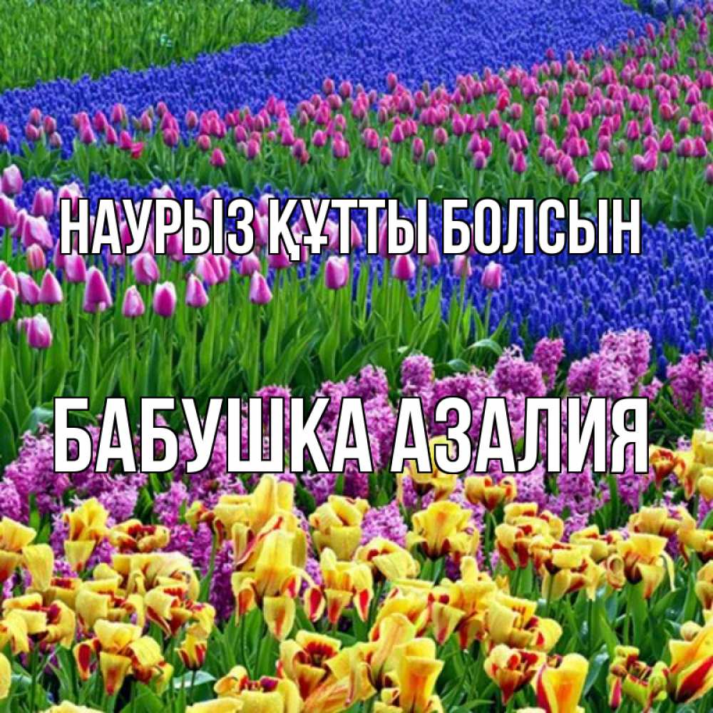 Открытка на каждый день с именем, Бабушка-Азалия Наурыз құтты болсын цветы Прикольная открытка с пожеланием онлайн скачать бесплатно 