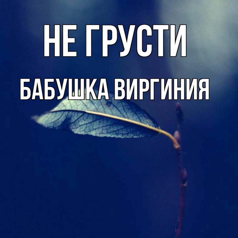 Открытка на каждый день с именем, Бабушка-Виргиния Не грусти растение Прикольная открытка с пожеланием онлайн скачать бесплатно 