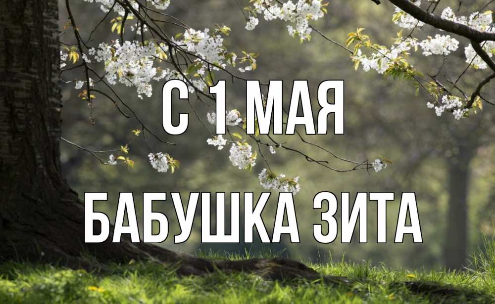 Открытка на каждый день с именем, Бабушка-Зита С 1 мая С 1 мая Прикольная открытка с пожеланием онлайн скачать бесплатно 