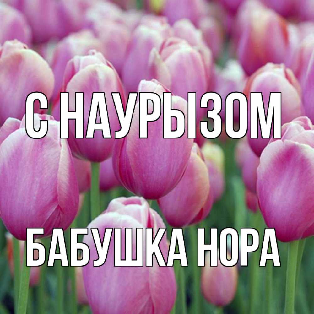 Открытка на каждый день с именем, Бабушка-Нора С наурызом праздник весны наурыз 69 Прикольная открытка с пожеланием онлайн скачать бесплатно 