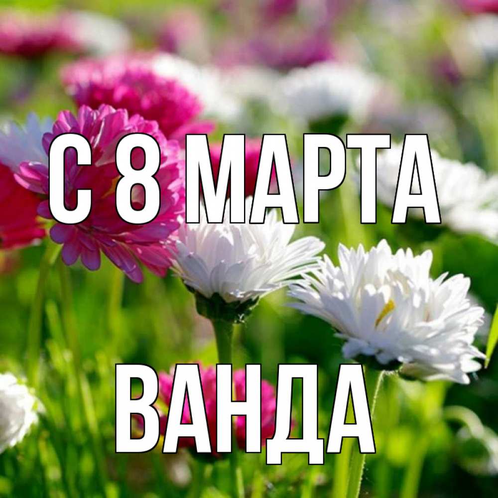 Открытка на каждый день с именем, Ванда С 8 МАРТА международный женский день 1 Прикольная открытка с пожеланием онлайн скачать бесплатно 