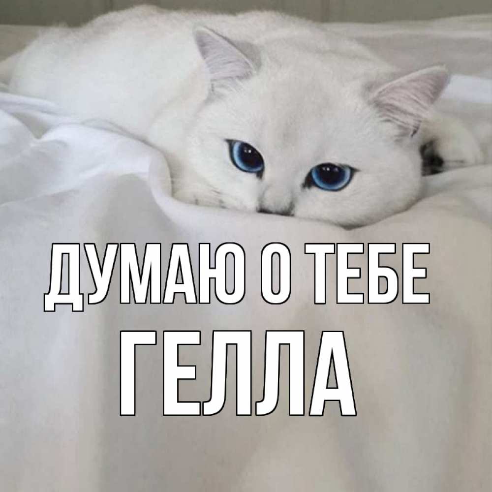 Открытка на каждый день с именем, Гелла Думаю о тебе я очень по тебе скучаю и тоскую Прикольная открытка с пожеланием онлайн скачать бесплатно 